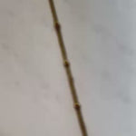 Load and play video in Gallery viewer, Rose Bloom Pendant Necklace – 18K Gold Plated (3 Colors)